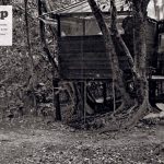1970’lerin hippi komününe geri dönüş: Taylor Kampı