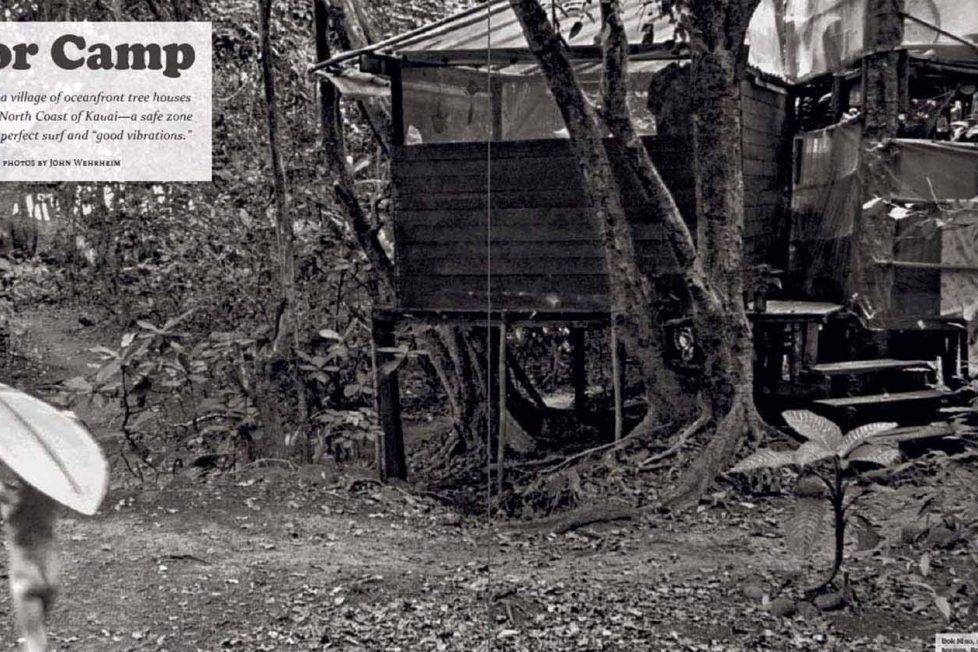 1970’lerin hippi komününe geri dönüş: Taylor Kampı