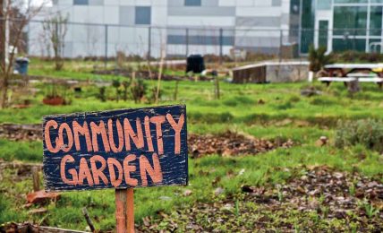 Yerel yöntemlerle iklim ve açlık mücadelesi vermek: Kent bahçeleri