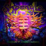 Top 5: Shpongle