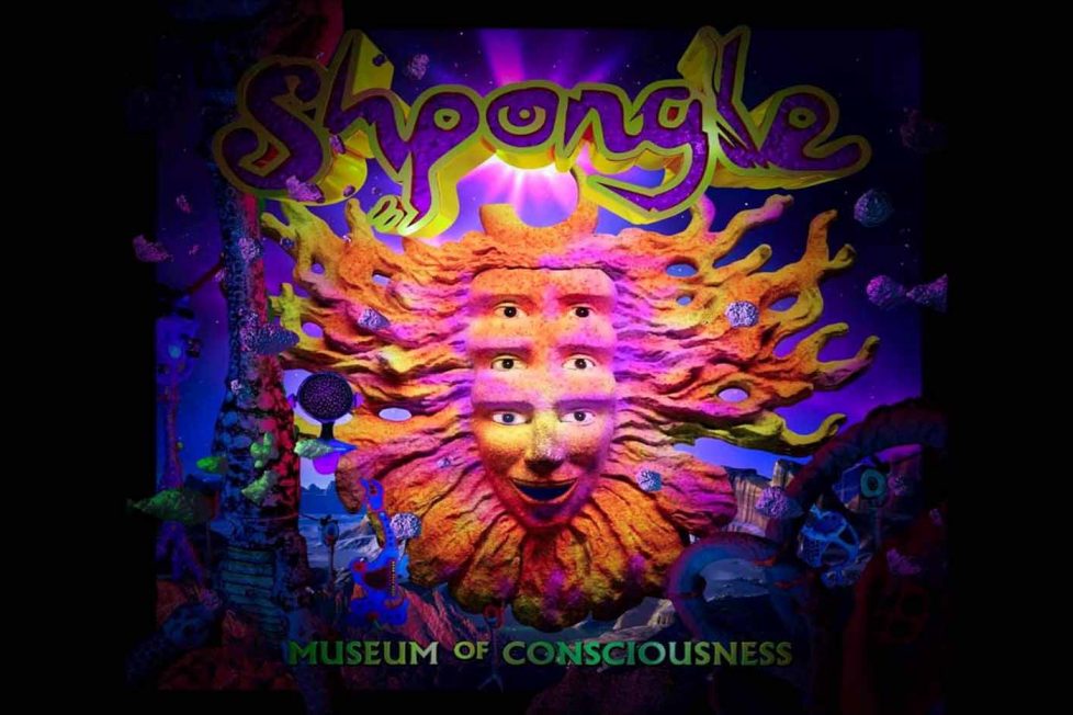 Top 5: Shpongle