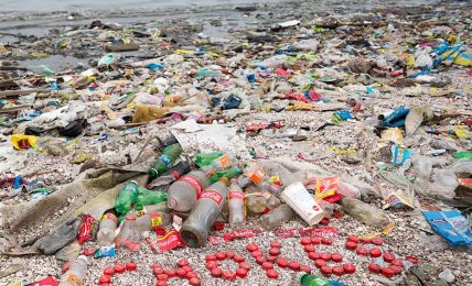 Plastik atıkları arasında en çok bulunan marka Coca-Cola