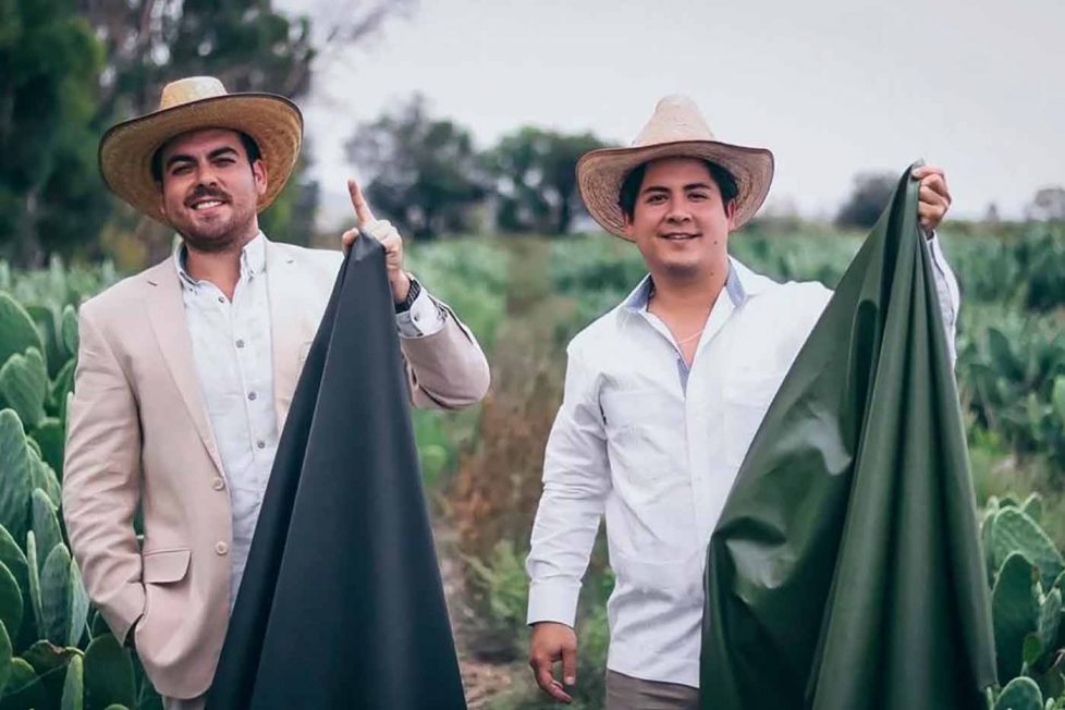 Meksikalı iki girişimci kaktüs yapraklarından vegan deri üretti