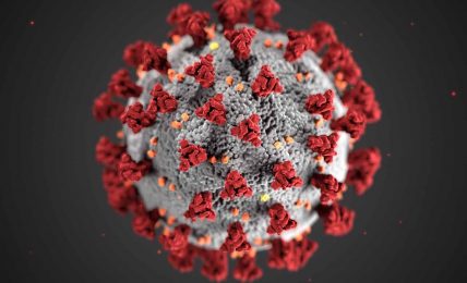 Yeni Koronavirüs (Covid-19) epidemi ilan edildi